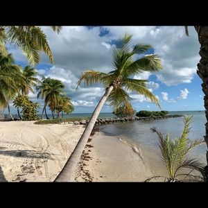 Meet your Posher, Joseph